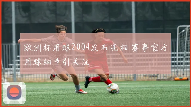 欧洲杯用球2004发布亮相 赛事官方用球细节引关注