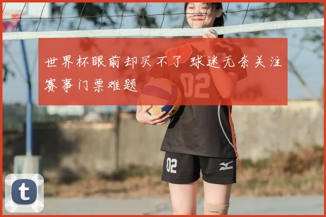 世界杯眼前却买不了 球迷无奈关注赛事门票难题