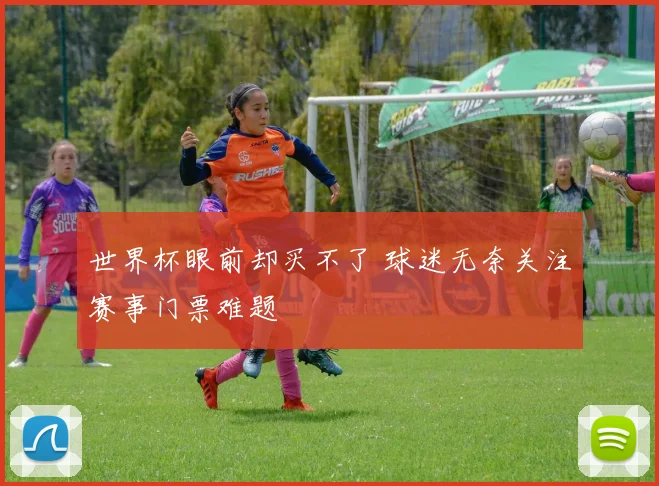 世界杯眼前却买不了 球迷无奈关注赛事门票难题
