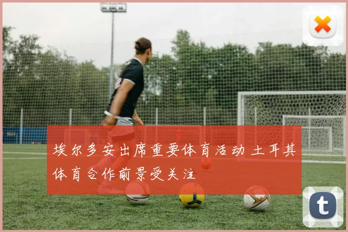 埃尔多安出席重要体育活动 土耳其体育合作前景受关注