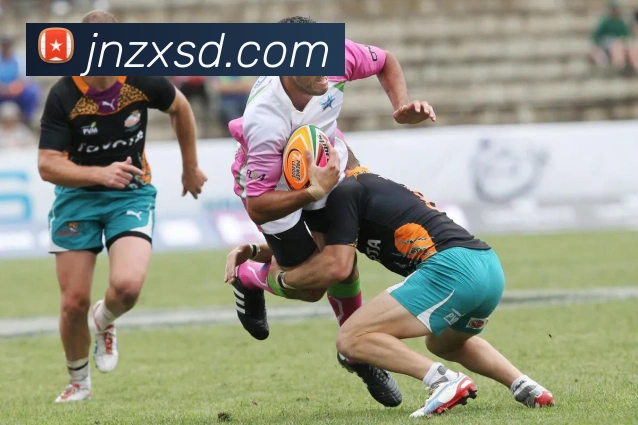 leyu乐涛官网地址平台生态图